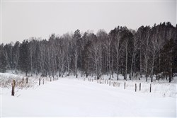 Коттеджный поселок «Малые поляны»