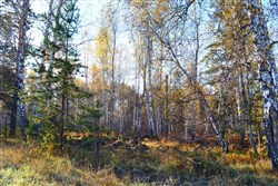 Коттеджный поселок «Малые поляны»