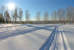 Коттеджный поселок «Малые поляны»